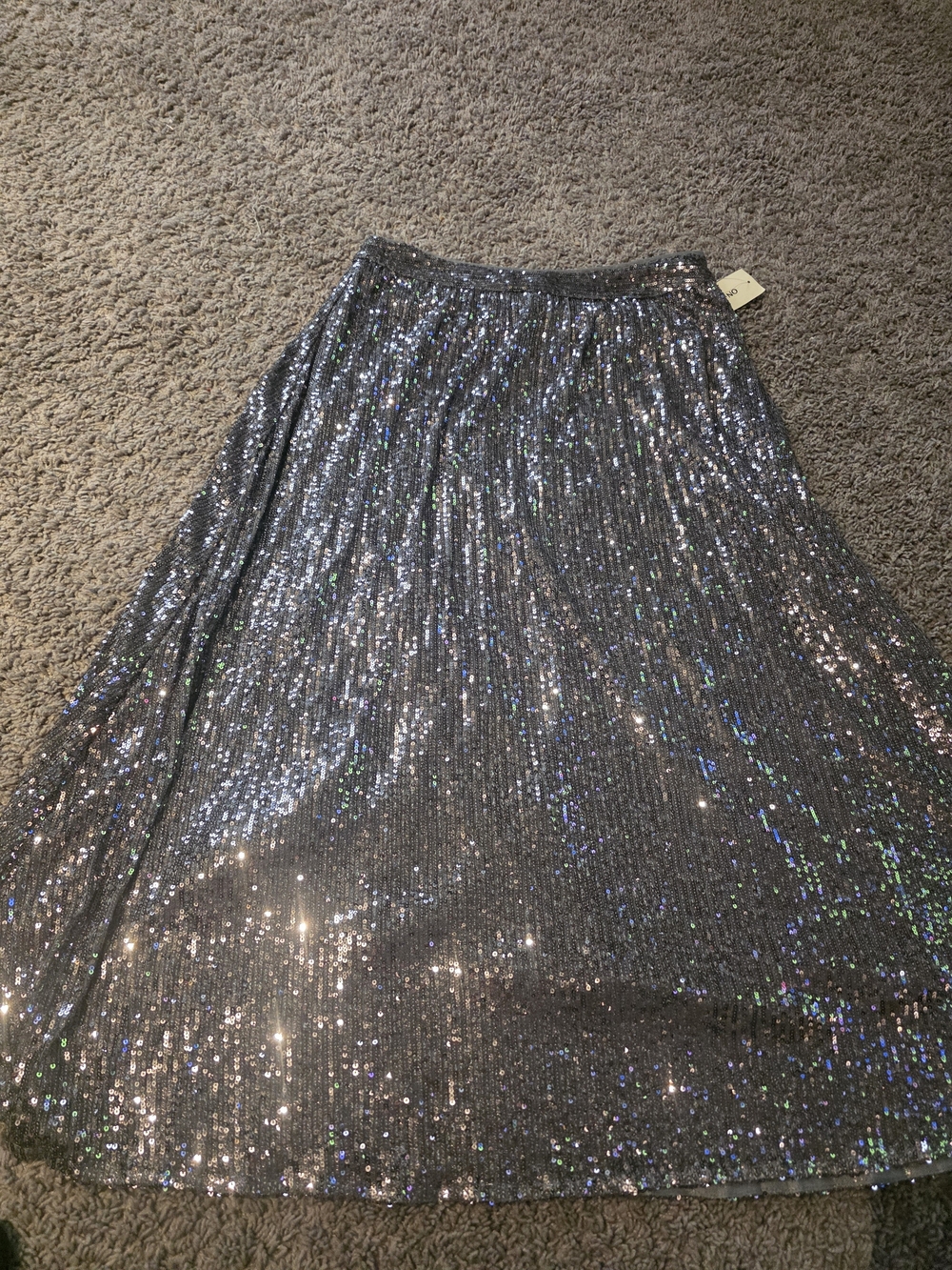Iridescent Silver Sequin Pleated Maxi Skirt